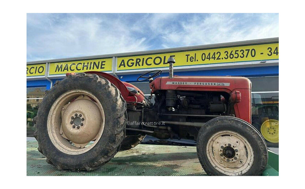 Massey Ferguson MF 35 Rabljen - 11