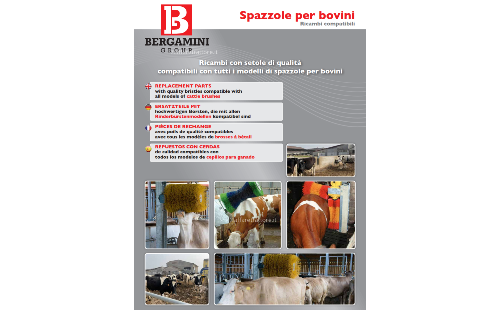 SPAZZOLE PER BOVINI COMPATIBILI SPECIAL I - 2