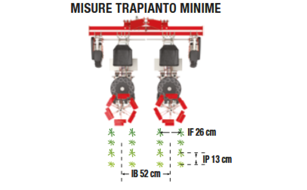 Spapperi TB 12 Novo - 3