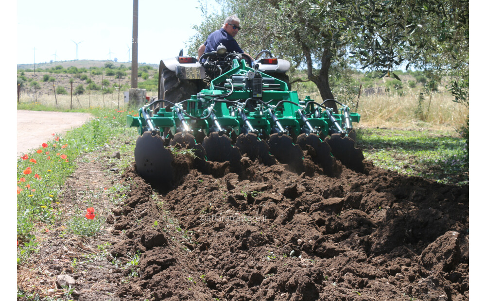 Vitale Project Variotilt VAR-16+2, 3,00m, 1150kg Richiudibile Manualmente a 2,35m per Frutteto, vigneto e Pieno Campo Nuovo - 6