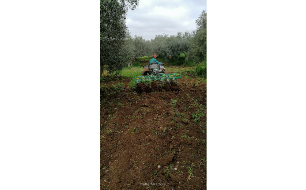 Vitale Project Avior AVI-16L, 2,70m Fisso, 800kg per Frutteto, Vigneto e Pieno Campo Nuovo - 2