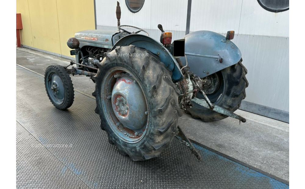 Massey Ferguson TEF 20 Usato - 9