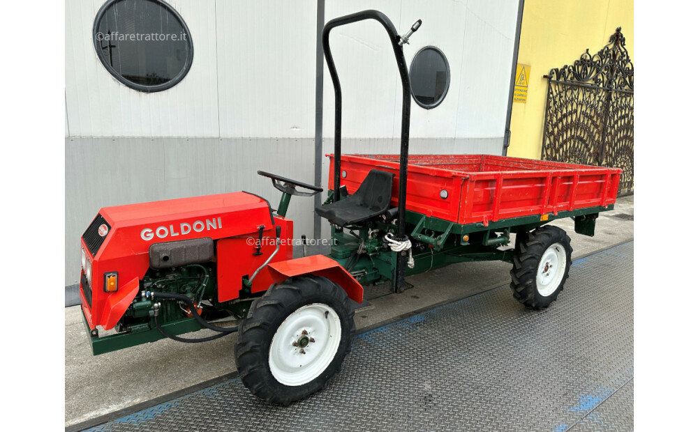 Motoagricola Goldoni Erreppi - 1