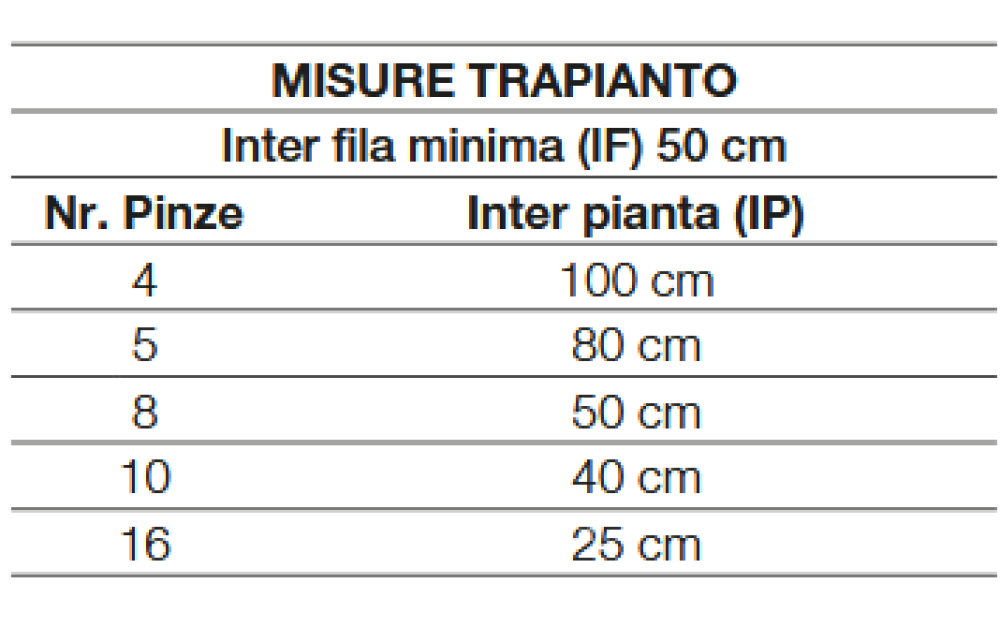 Spapperi TP PIANTATALEE IDRAULICA Novo - 2