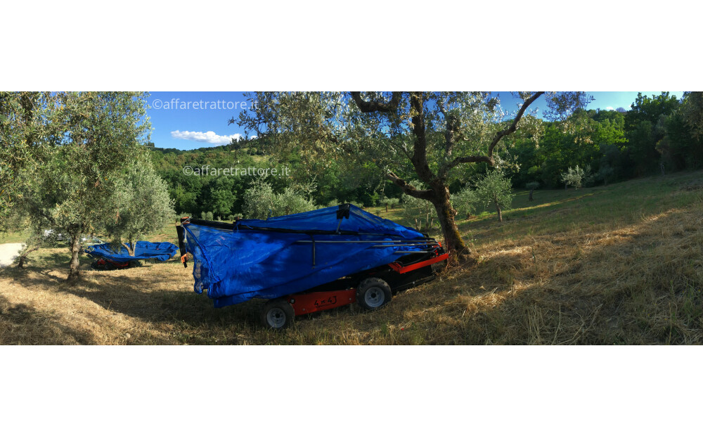 Bosco OliveSpeed 4x4 J Nuovo - 5