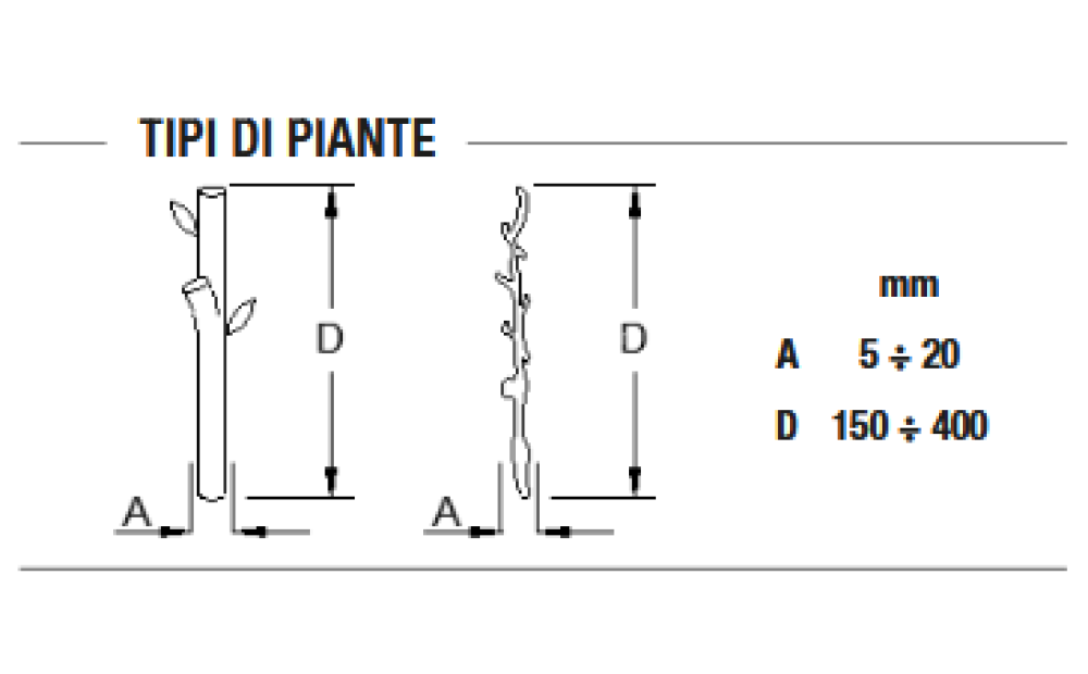 Spapperi TT – PIANTATALEE MECCANICA Novo - 2