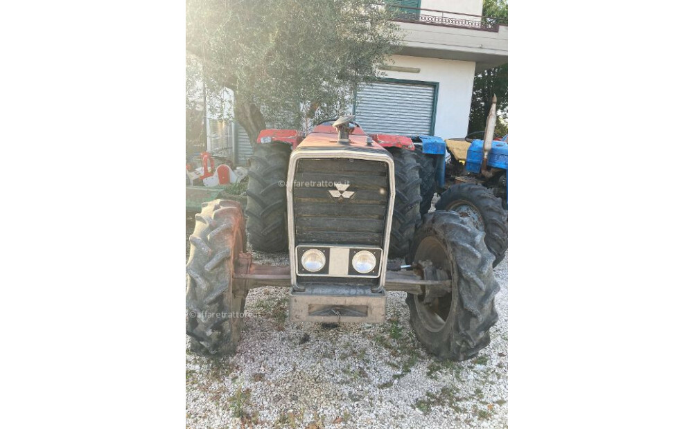 Massey Ferguson 254 Usato - 3