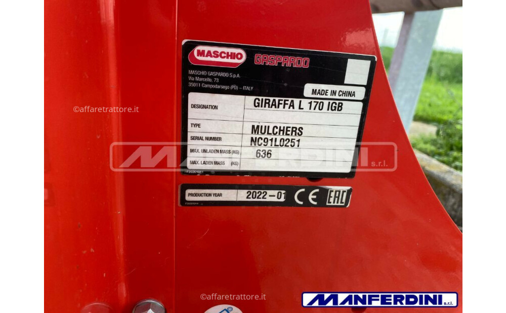 Maschio Giraffa L RH 170 SI M08 Nuovo - 7