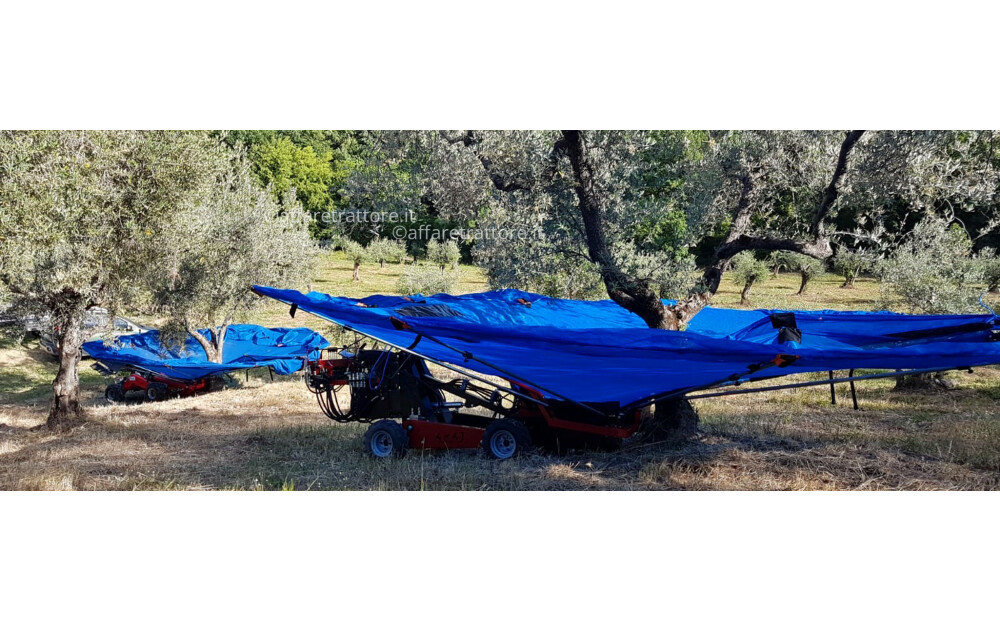 Bosco OliveSpeed 4x4 J Nuovo - 1