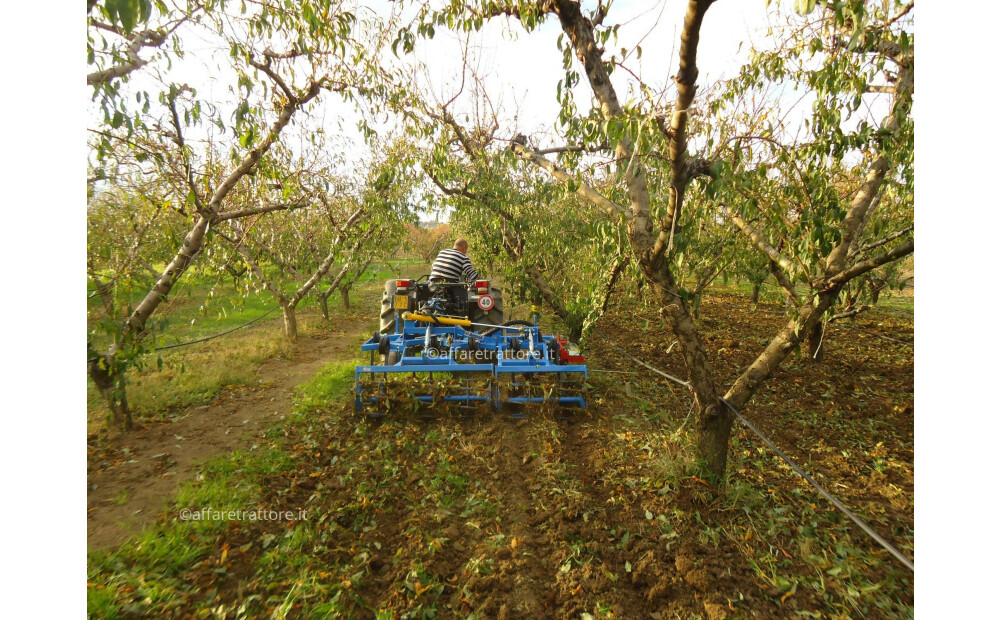 Arrizza San Salvo Eco Novo - 1