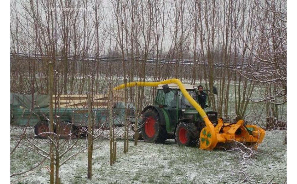 Serrat Biomass 80-120 Cv 150-200 Cm - 4