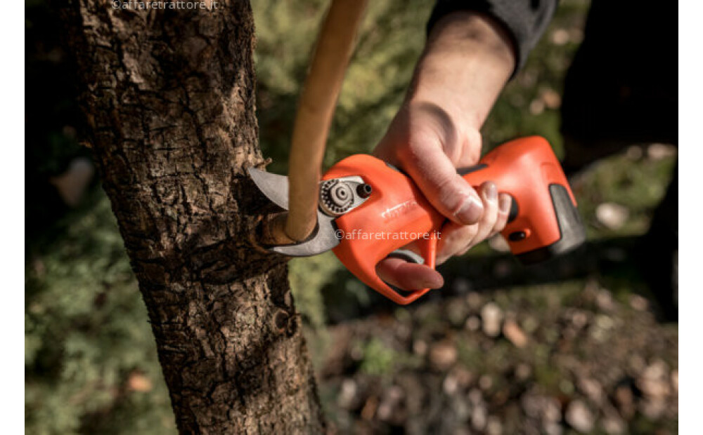 Stocker Vulcano E-30 TP Novo - 3