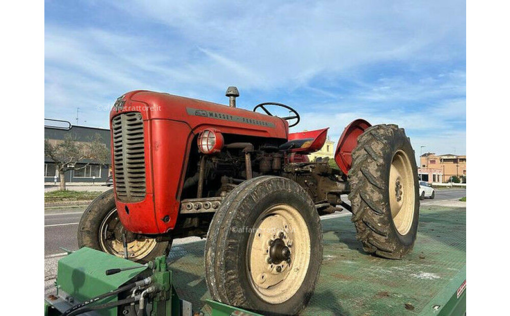 Massey Ferguson MF 35 Rabljen - 1