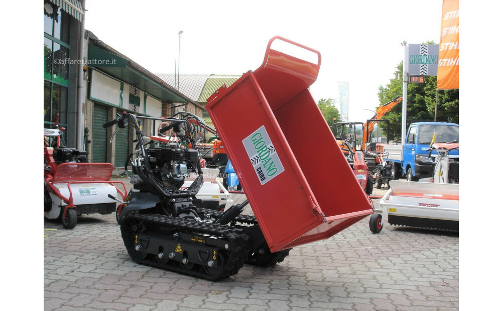 Motocarriola Cingolata GIOR 600 Zanetti Dumper Nuovo - 6