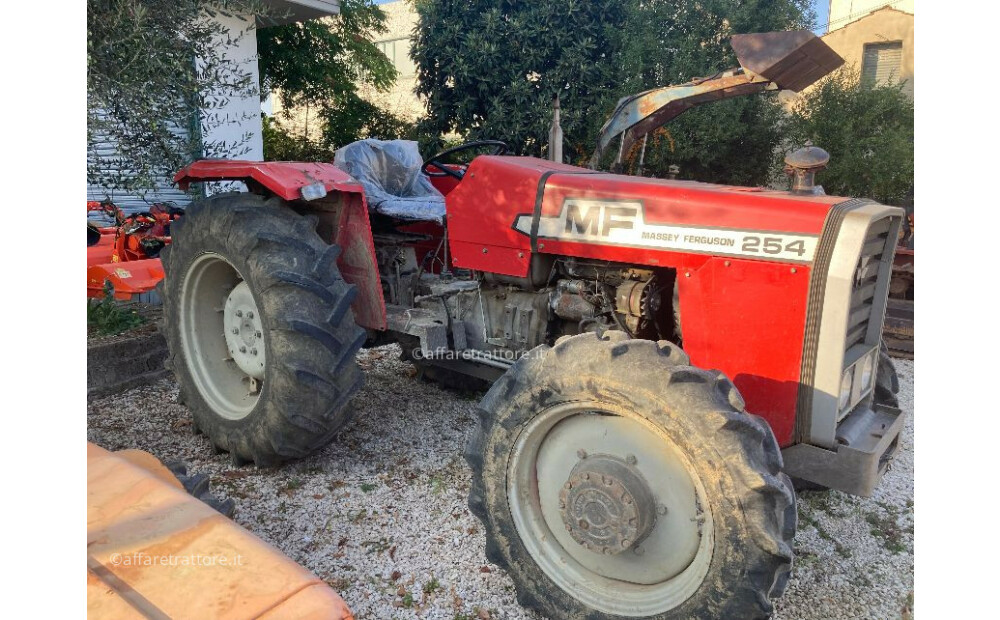 Massey Ferguson 254 Usato - 6