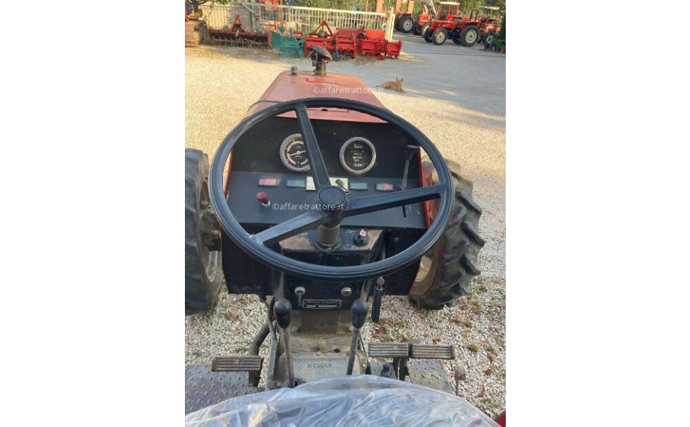 Massey Ferguson 254 Usato - 4