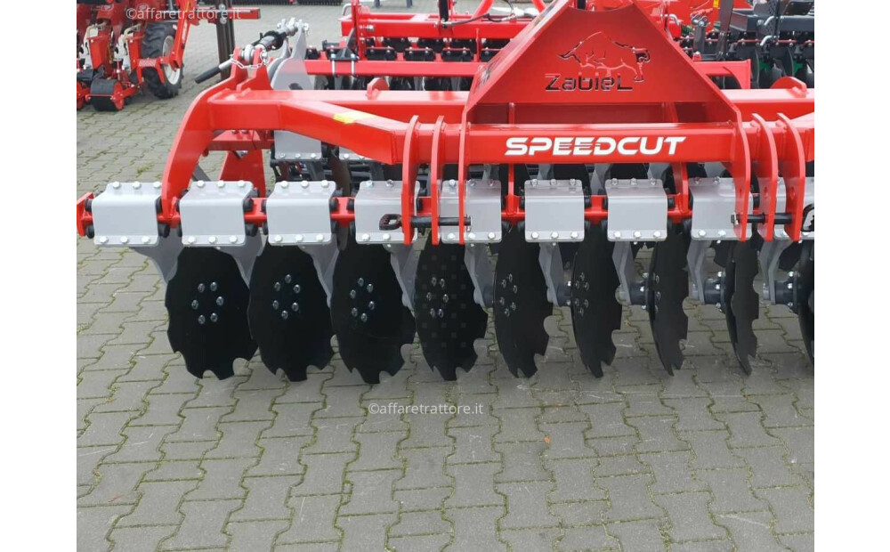 AgroAlex Italia 300 Z Nuovo - 2