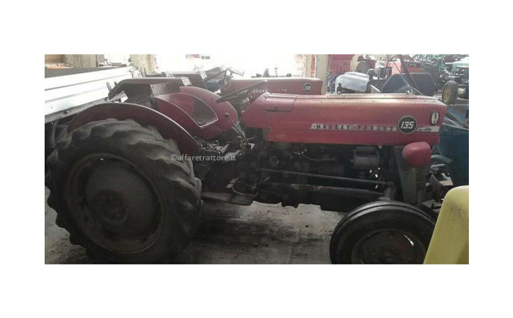 Massey Ferguson 135 Usato - 2