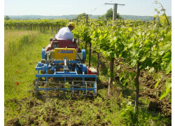 Arrizza Vittoria R Eco Nuovo